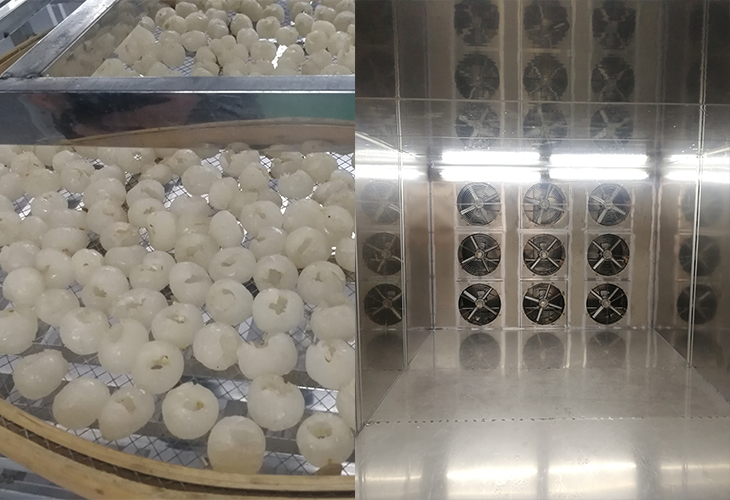 龍眼烘干機