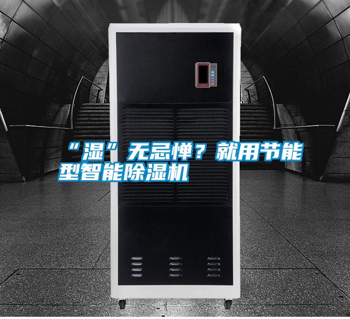 “濕”無忌憚？就用節能型智能除濕機