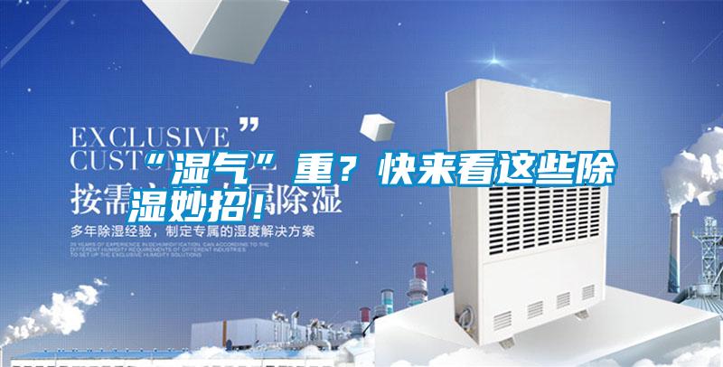 “濕氣”重？快來看這些除濕妙招！