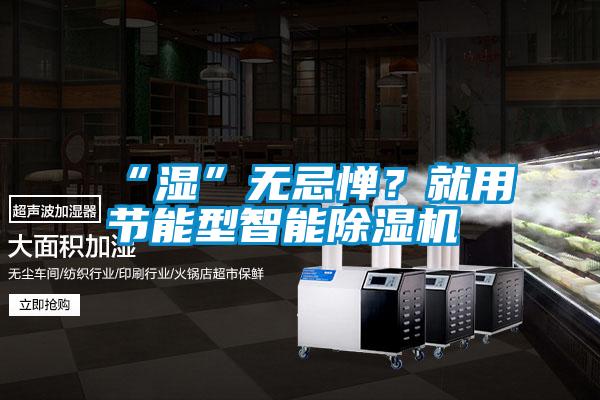 “濕”無忌憚？就用節能型智能除濕機