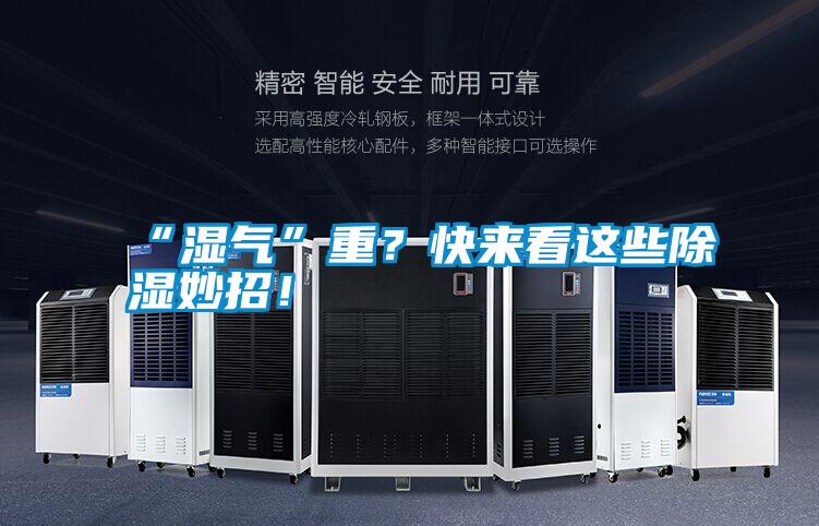 “濕氣”重？快來看這些除濕妙招！