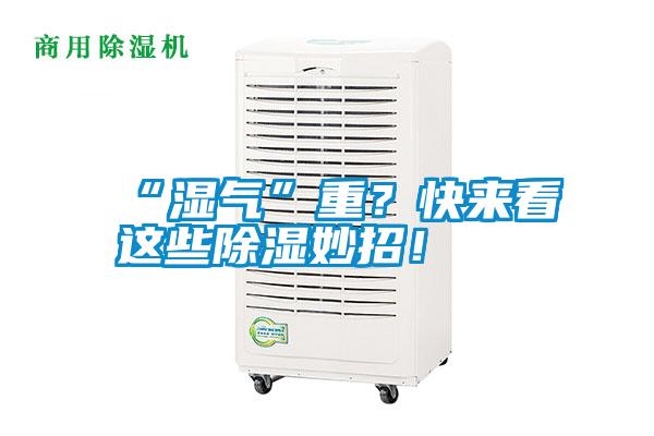 “濕氣”重？快來看這些除濕妙招！