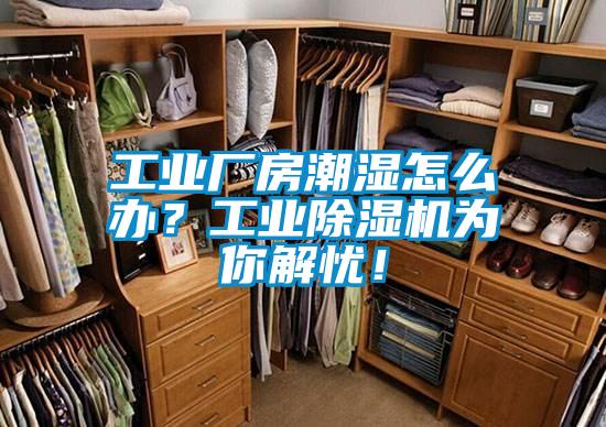 工業廠房潮濕怎么辦？工業除濕機為你解憂！