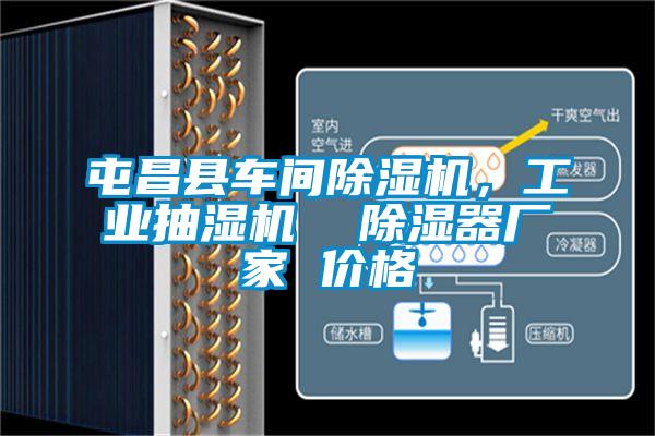 屯昌縣車間除濕機,工業抽濕機 除濕器廠家 價格
