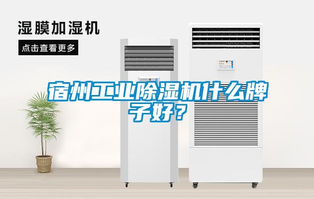 宿州工業除濕機什么牌子好？