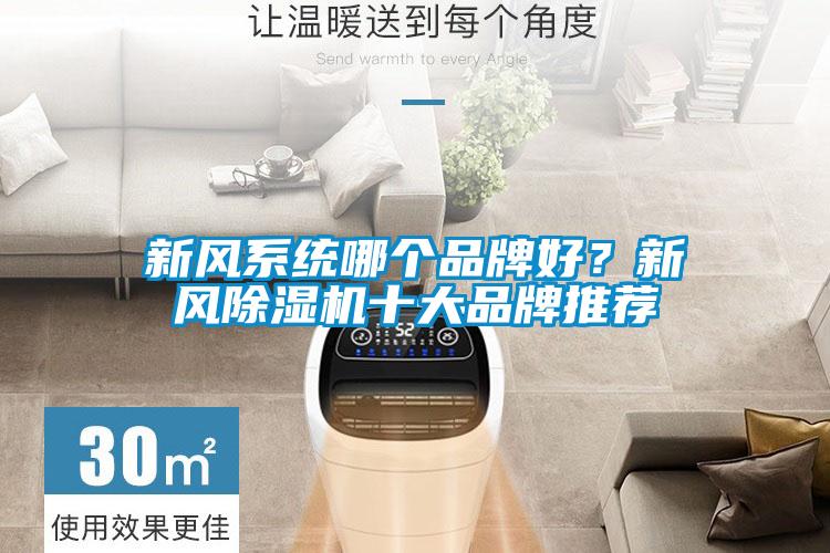 新風(fēng)系統(tǒng)哪個(gè)品牌好?新風(fēng)除濕機(jī)十大品牌推薦
